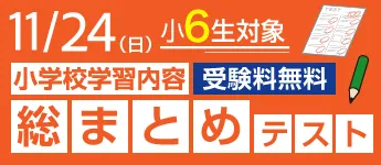 小６ 小学校学習内容 総まとめテスト